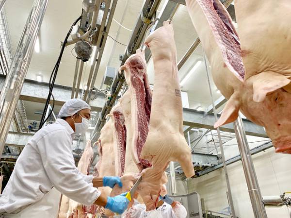 Bộ NN-PTNT kêu gọi các doanh nghiệp chung tay bình ổn giá thịt heo dịp cuối năm