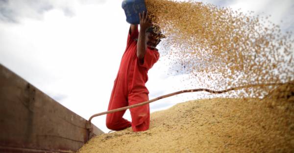 Trung Quốc nhập khẩu ồ ạt đậu tương Mỹ