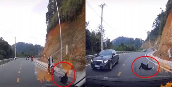 Clip: Mất phanh khi đổ đèo, đôi nam nữ ngã bò xuống đường: Đi đường đèo không nên đi xe ga
