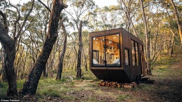 Cabn Jude giữa môi trường thiên nhiên trên đồi ở Adelaide, Nam Australia.
