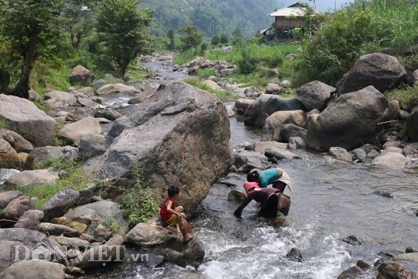 Rêu đá mọc ở những khe suối và bám vào đá.