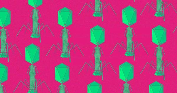 Phát triển công nghệ pin bằng hàng loạt virus