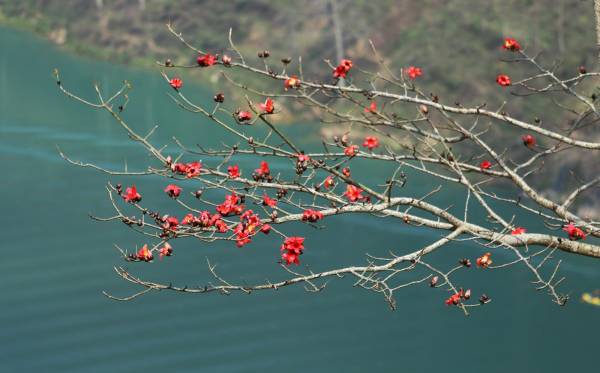 Những góc nhìn khác nhau từ nhiều điểm ở Mã Pì Lèng, sẽ cho bạn những cảm nhận tuyệt vời, với nhiều cung bậc cảm xúc, lẫn màu sắc khác nhau