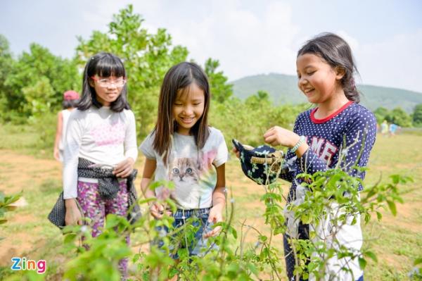 Hà Nội thêm ca nhiễm mới, trường học đồng loạt lùi lịch tựu trường
