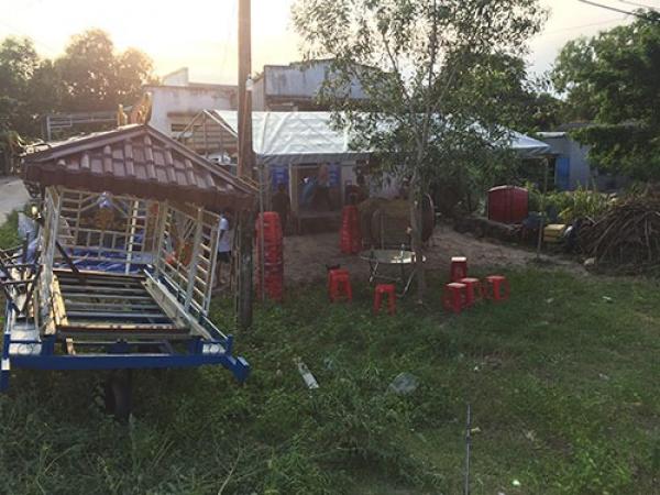 Tử vong do ăn thịt cóc