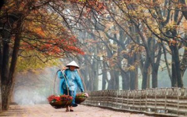 Trong vòng 1 tuần, Miền Bắc sẽ đón 2 đợt gió mùa gây mưa trên diện rộng