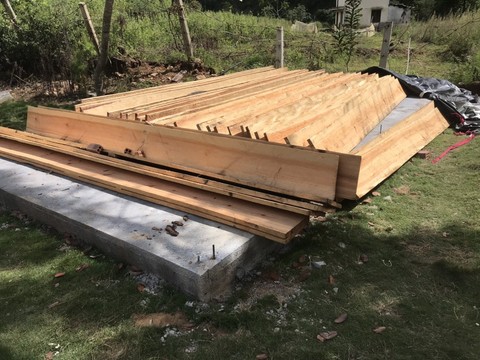 Phát hiện vụ tàng trữ gỗ trái phép khối lượng lớn ở Lâm Đồng