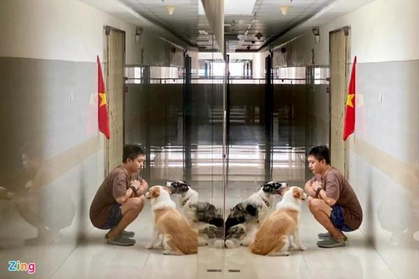 Nỗi lòng chủ nuôi chó ở chung cư TP.HCM mùa dịch