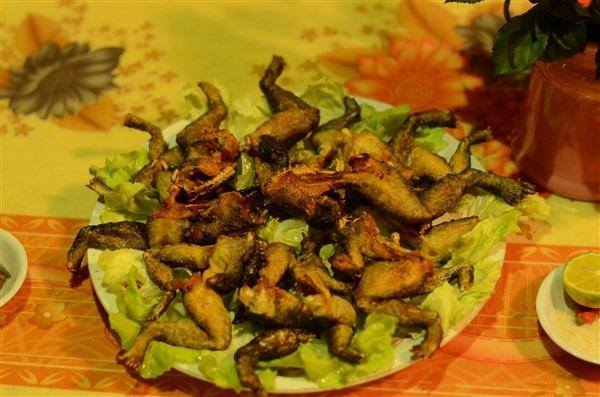 Kỳ thú mùa săn “ếch tiến vua”